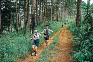 BIB: 
                            <button type="button" onclick="openModal(25656215)" class="btn btn-primary btn-sm float-right btn-popup" data-toggle="modal" data-target=".modal-high-quality">
                        <i class="fas fa-shopping-cart"></i> Add to Cart
                    </button>
                                            <button type="button" onclick="isThisMe(25656215, true)" class="btn btn-success btn-sm float-right btn-popup btn-isme hidden" data-toggle="tooltip" data-placement="bottom" title="นี่คือรูปของคุณใช่ไหม คลิกที่นี่เพื่อเอาเข้าอัลบั้ม">
                        <i class="fas fa-plus"></i> Add to album
                    </button>
                    <button type="button" onclick="isThisMe(25656215, false)" class="btn btn-warning btn-sm float-right btn-popup btn-isnotme hidden">
                        <i class="fas fa-ban"></i> Remove from album
                    </button>